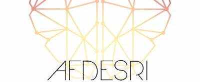 10e séminaire de l’AFDESRI « Valeurs, pouvoir. Femmes de l’ESR, quelles sont vos aspirations ? »